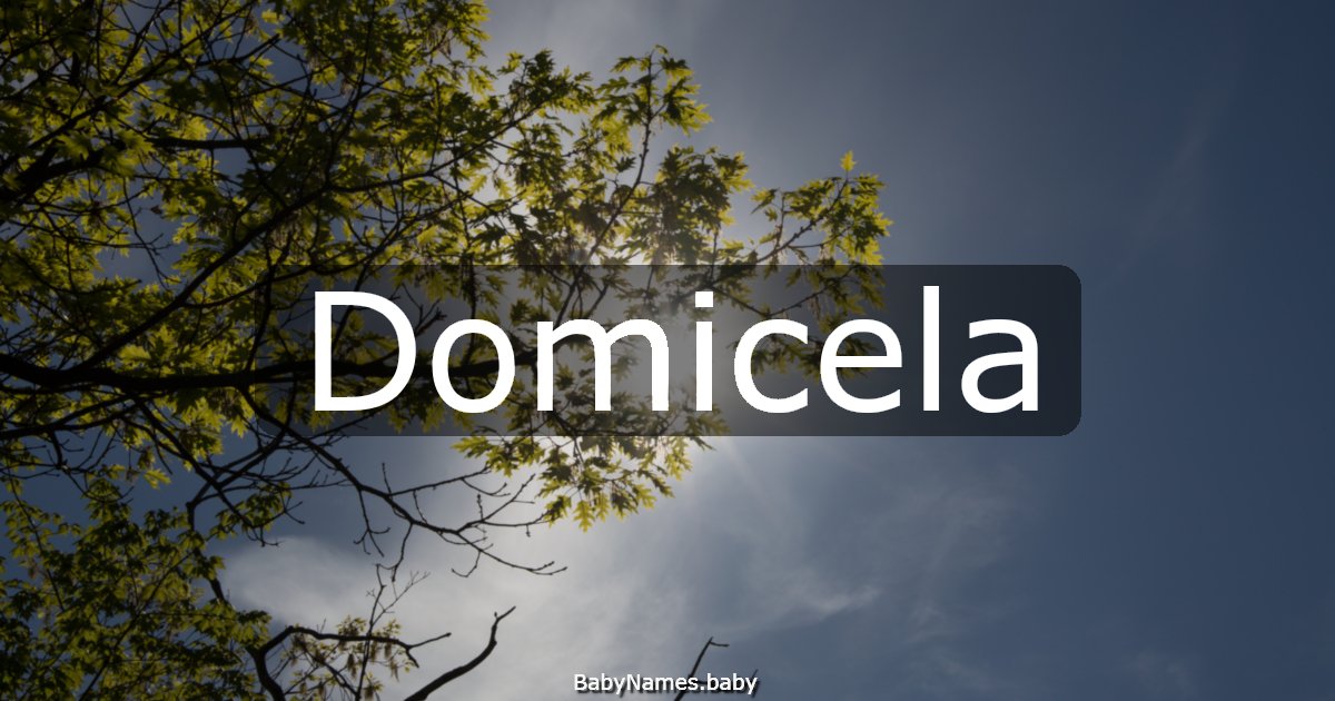 Domicela