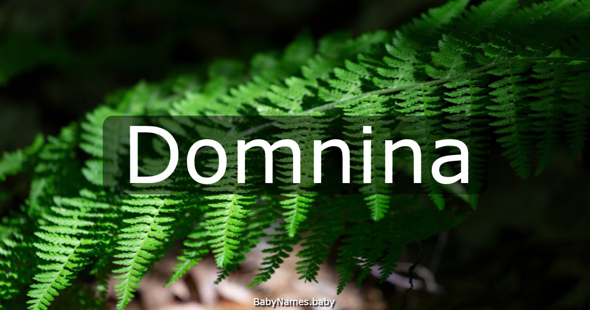 Domnina