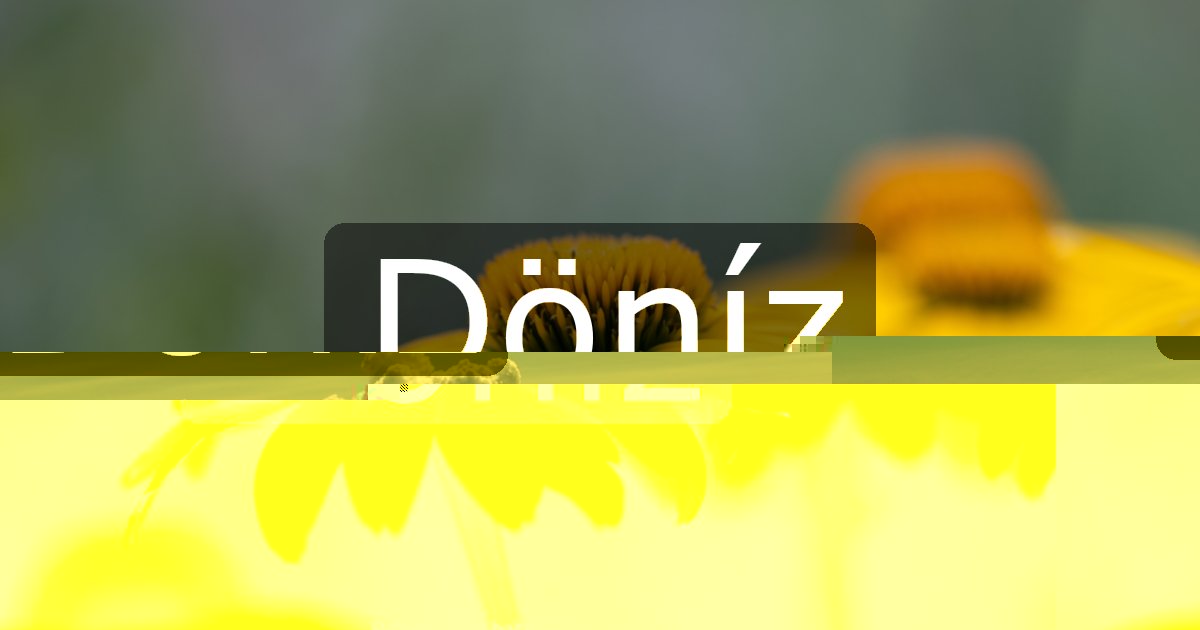 Döníz