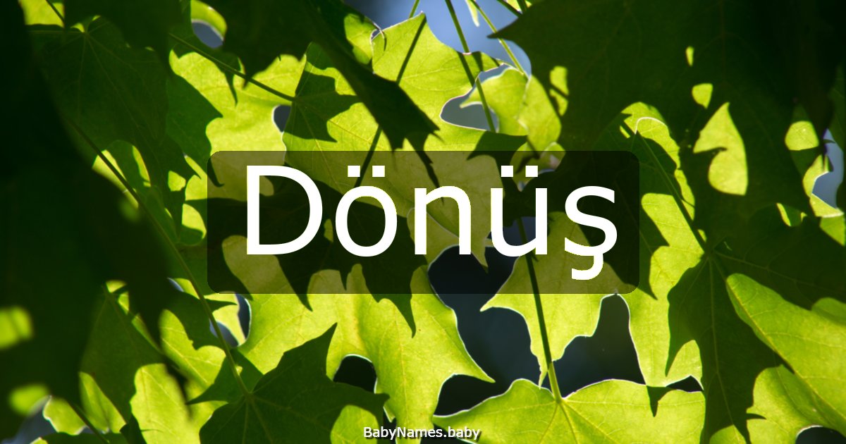Dönüş
