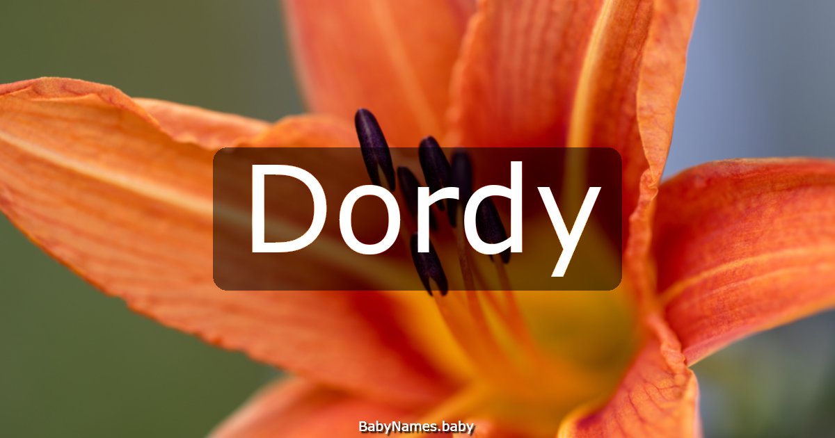 Dordy