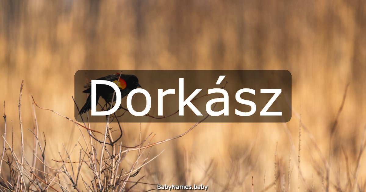 Dorkász