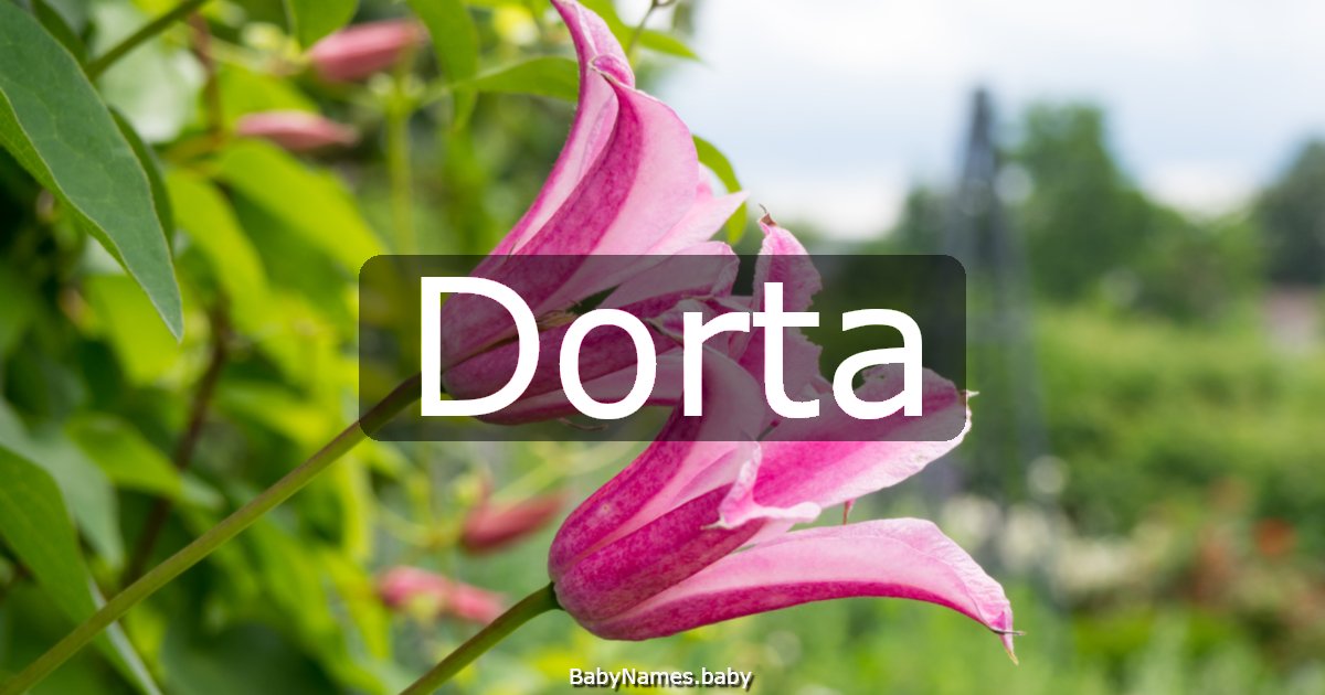 Dorta