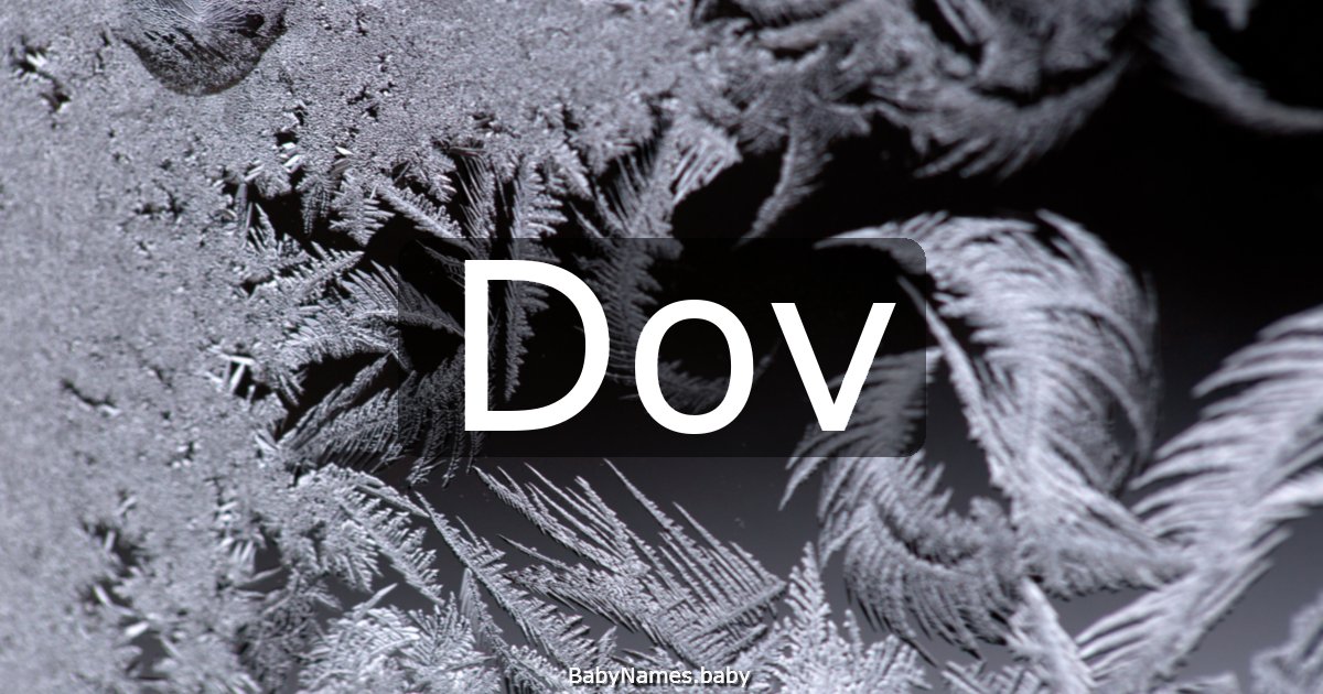 Dov