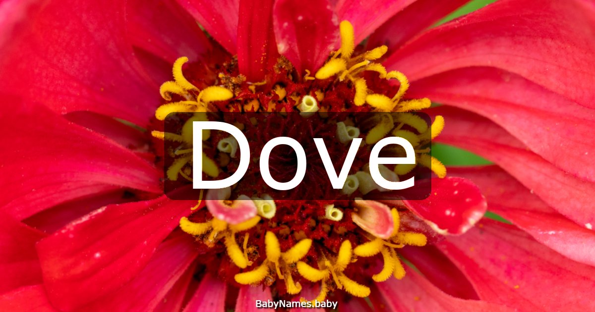 Dove