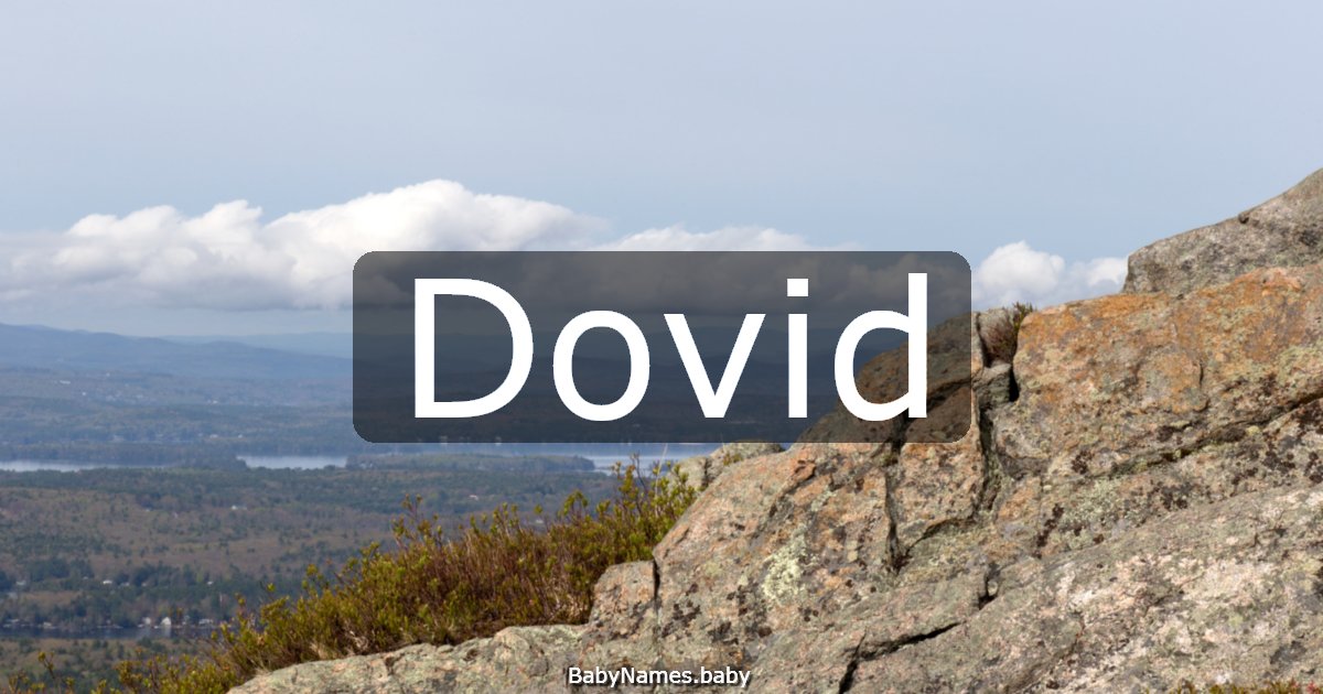 Dovid