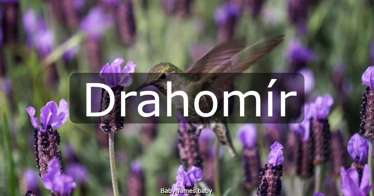 Drahomír
