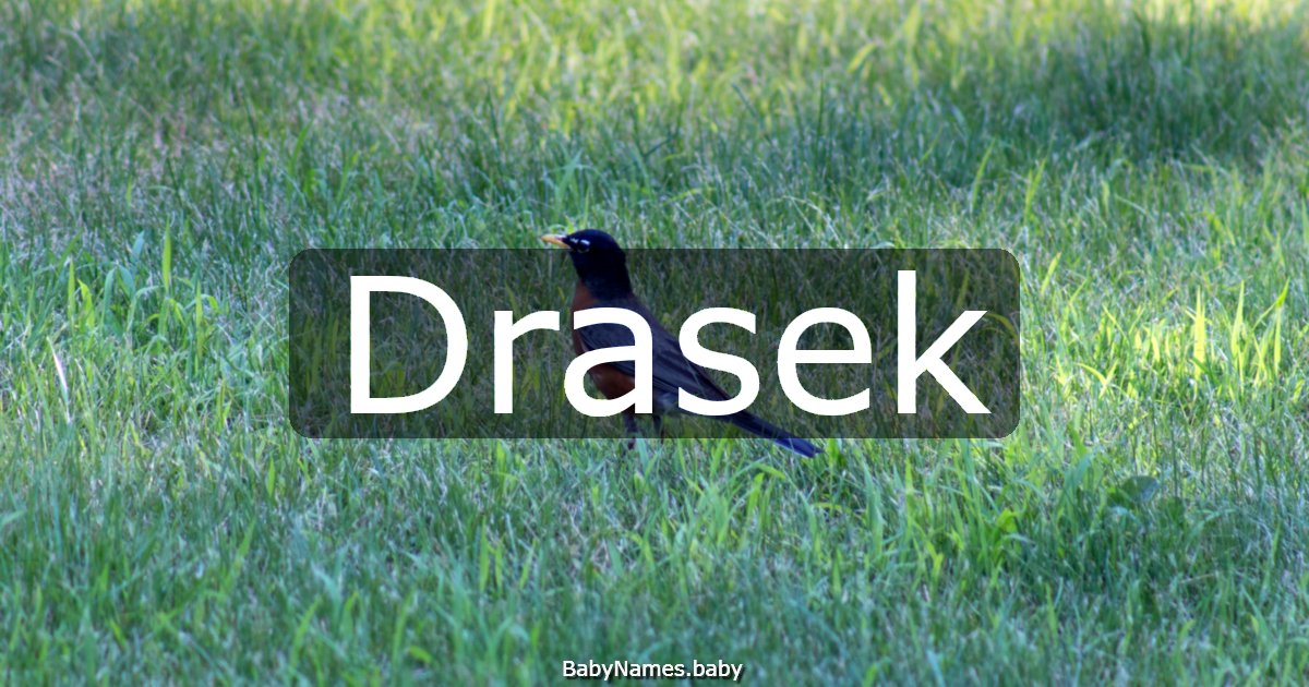 Drasek