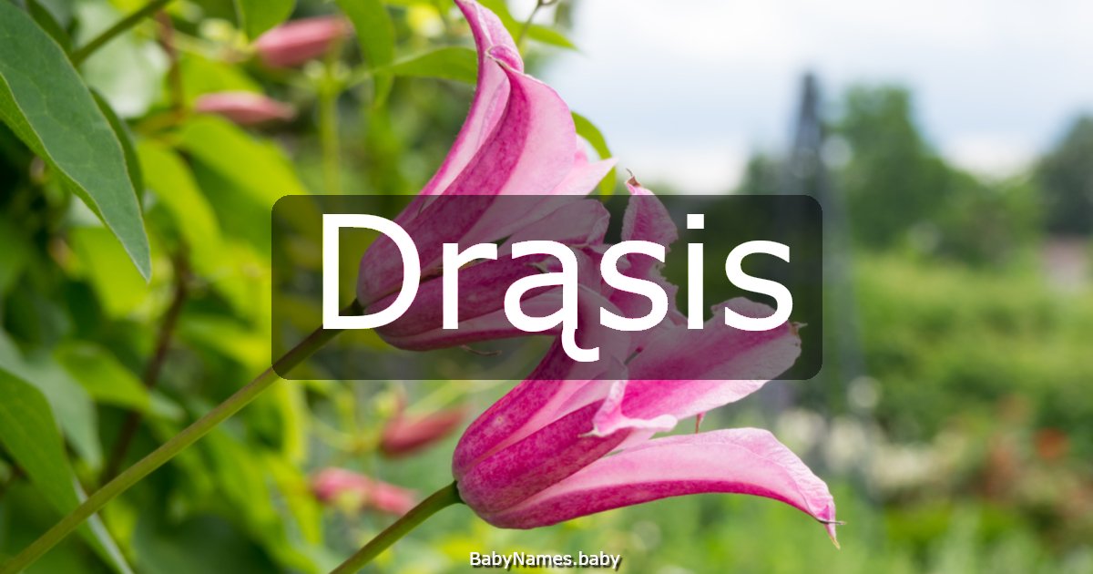 Drąsis