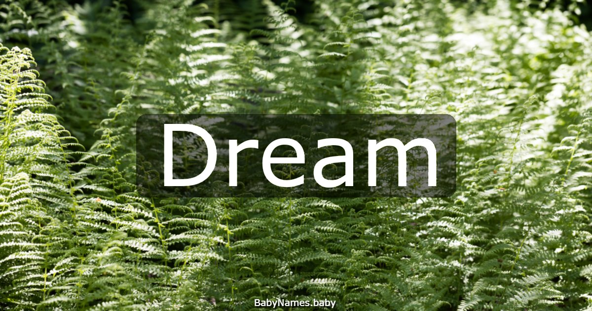 Dream