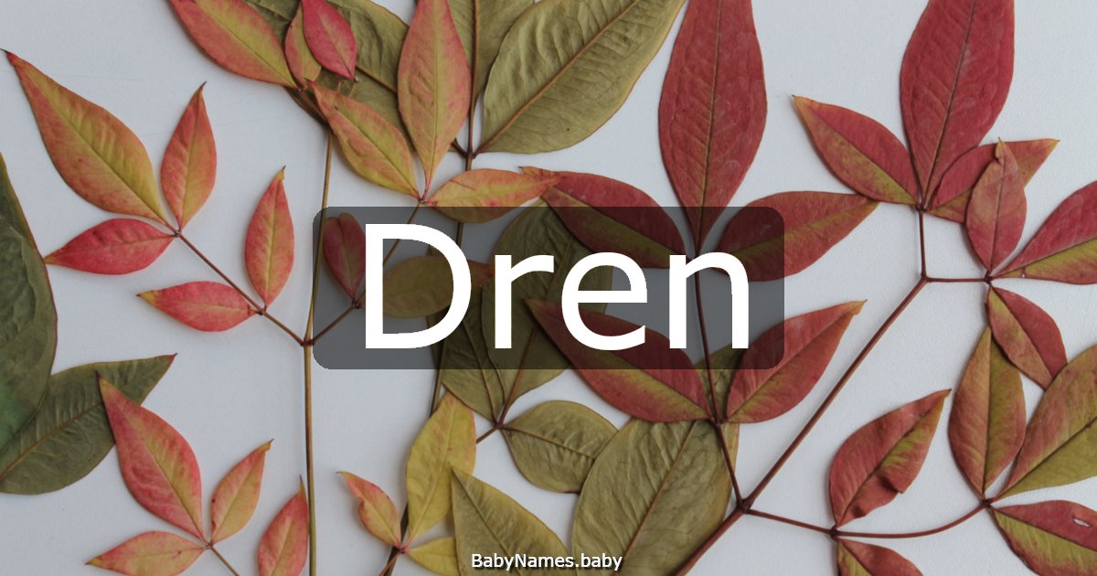 Dren