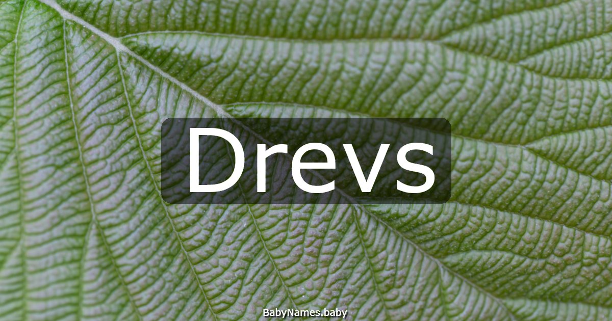 Drevs