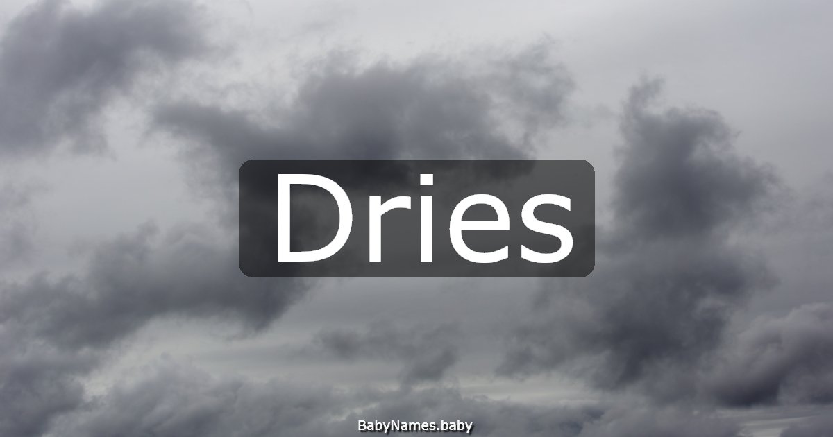 Dries