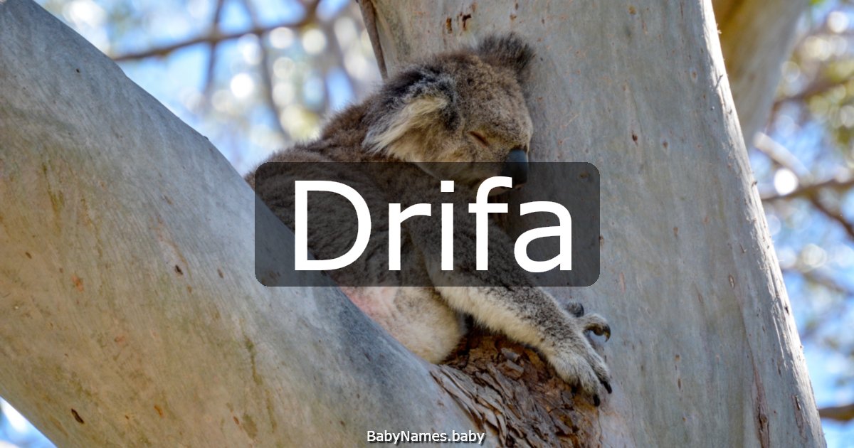 Drifa