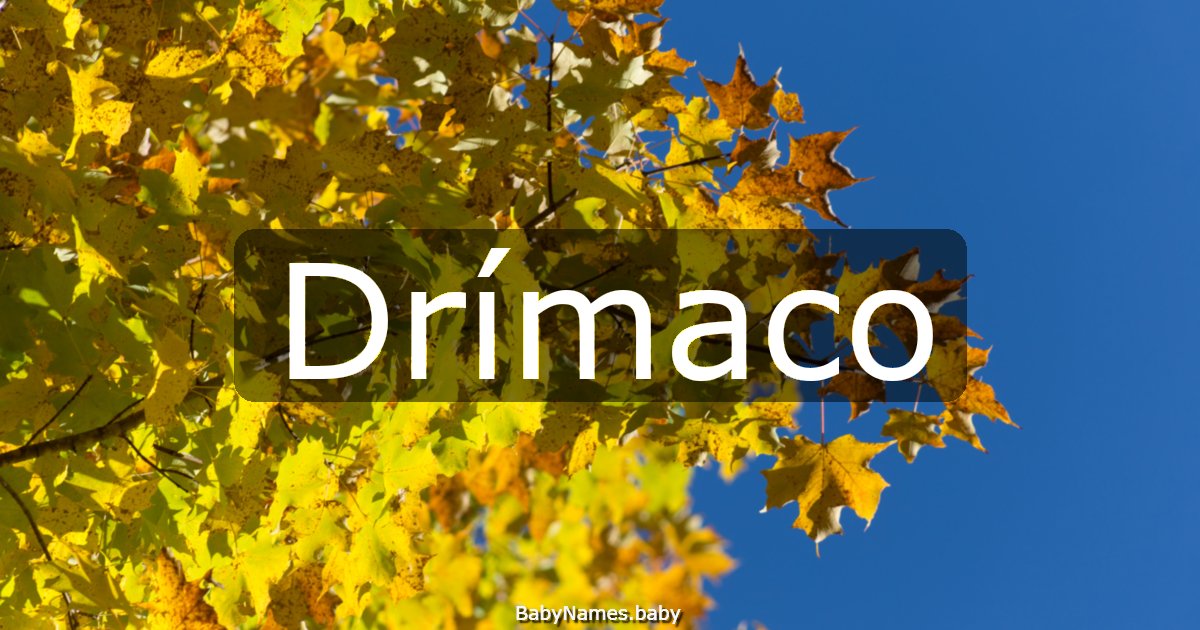 Drímaco