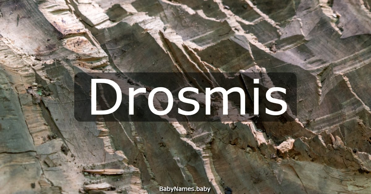 Drosmis