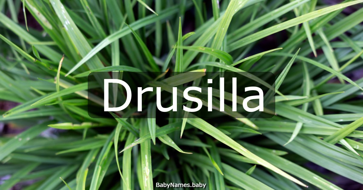 Drusilla