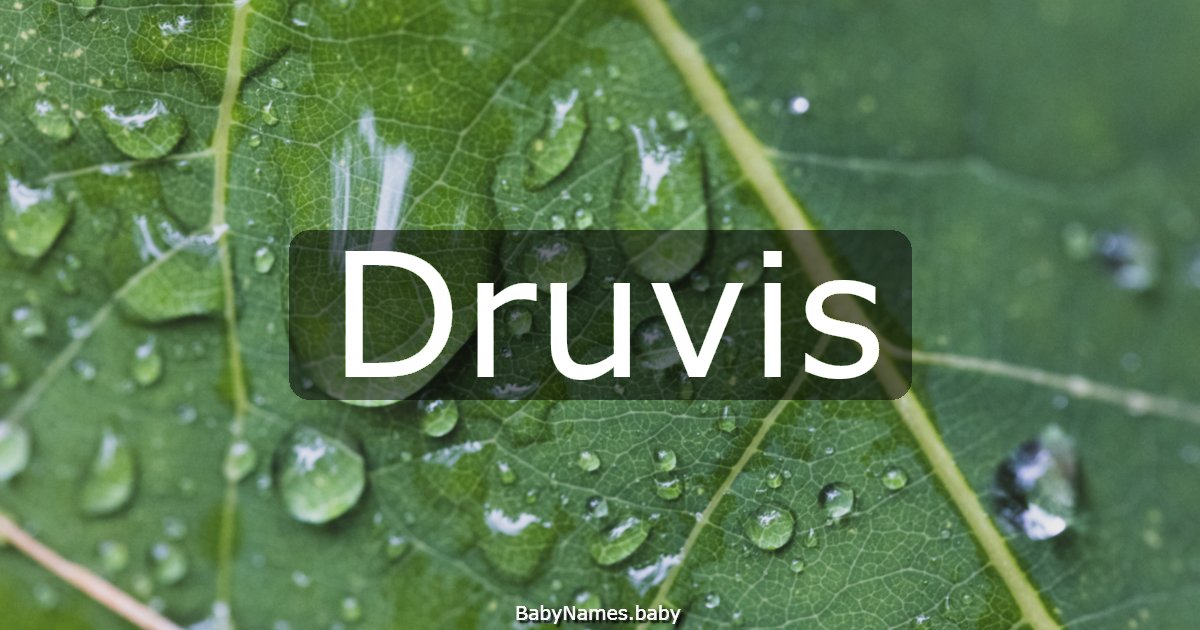Druvis