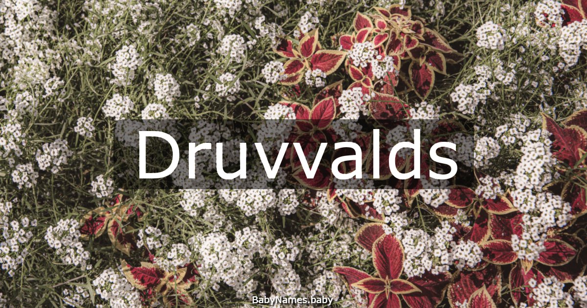 Druvvalds