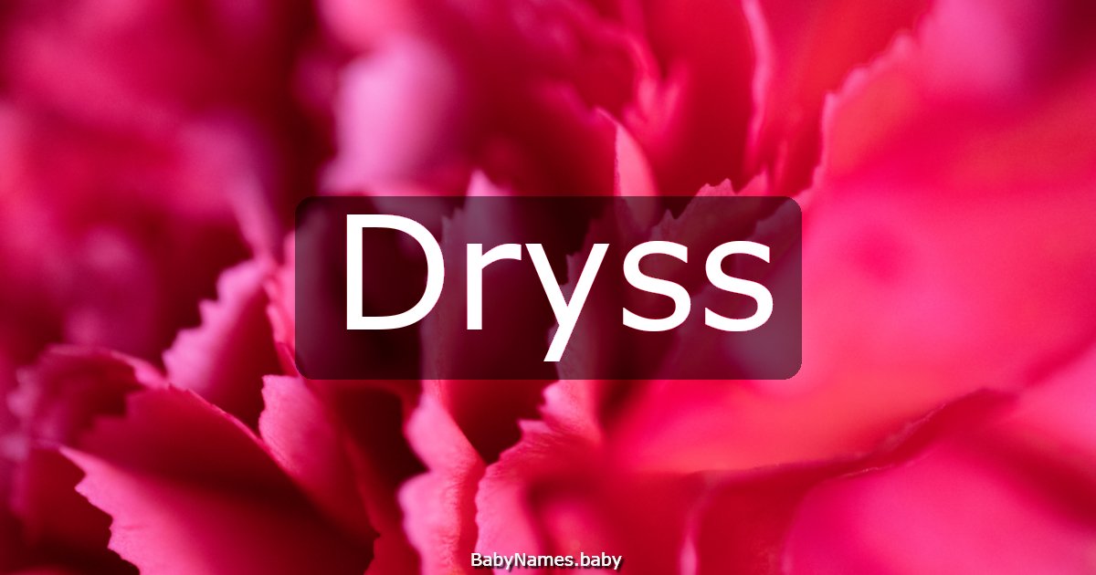 Dryss