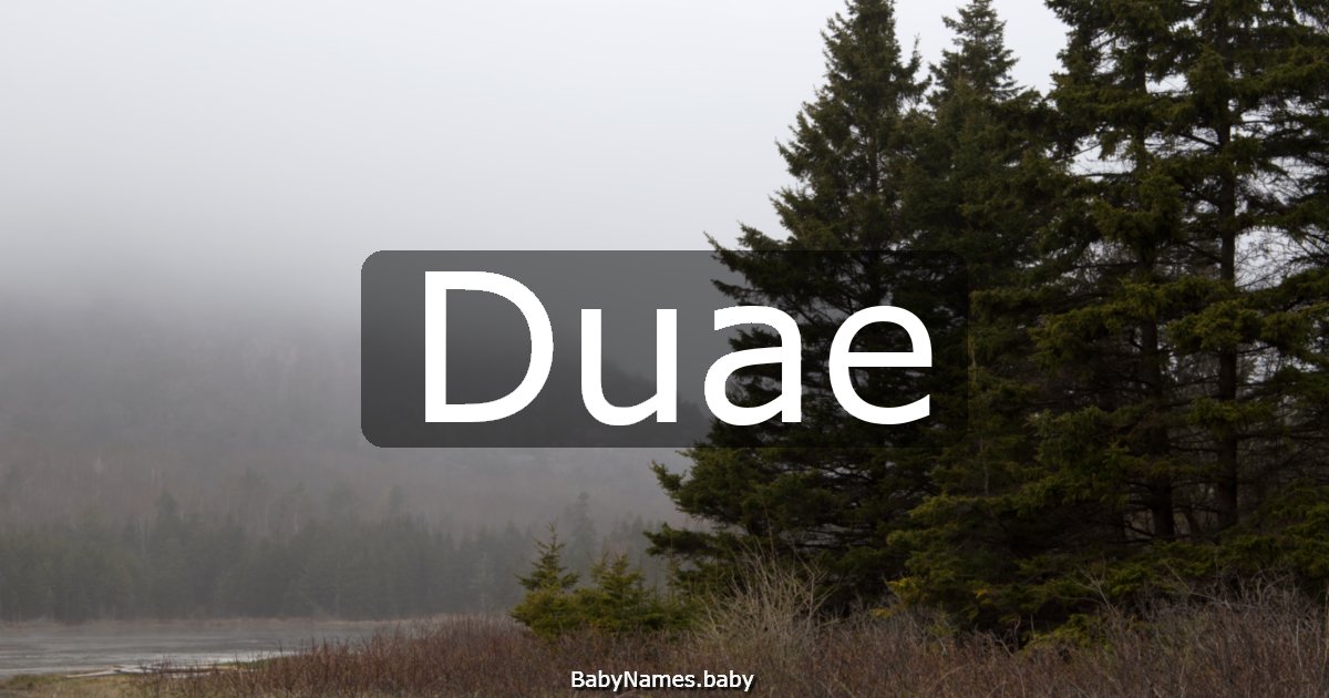 Duae