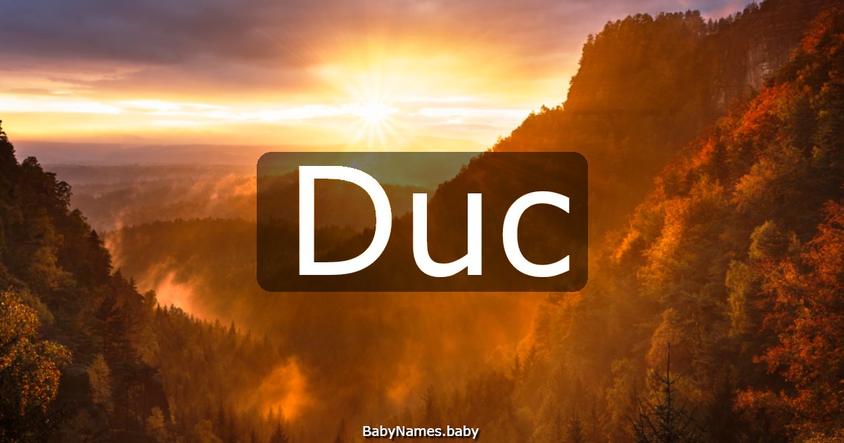 Duc