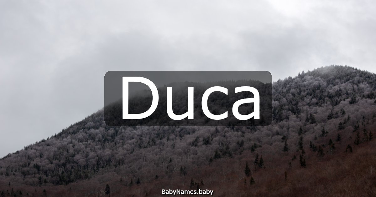 Duca