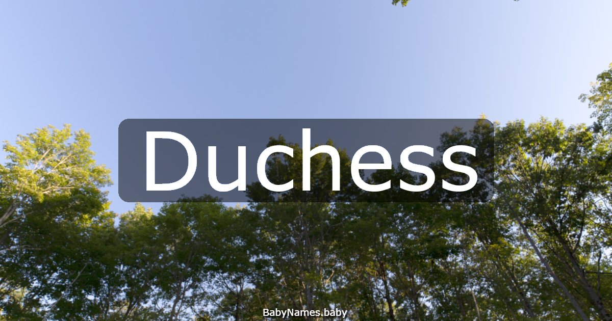 Duchess