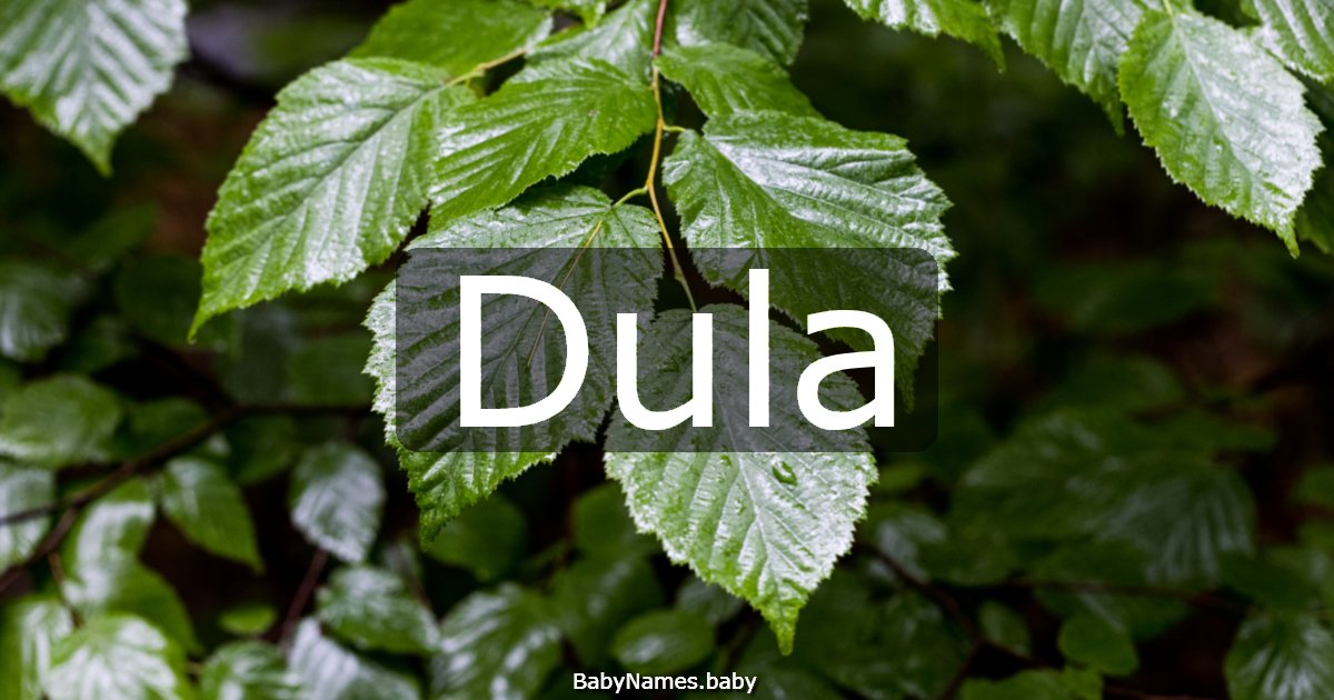 Dula