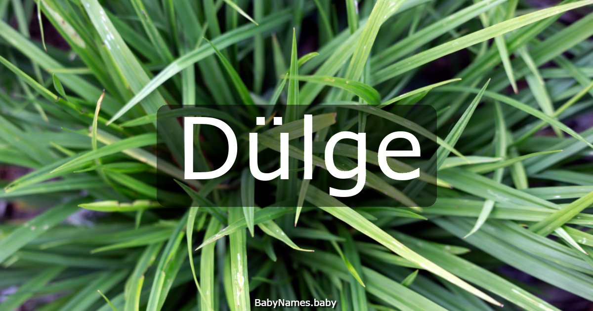 Dülge