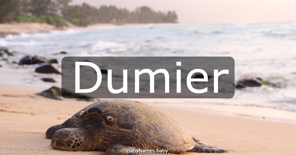 Dumier