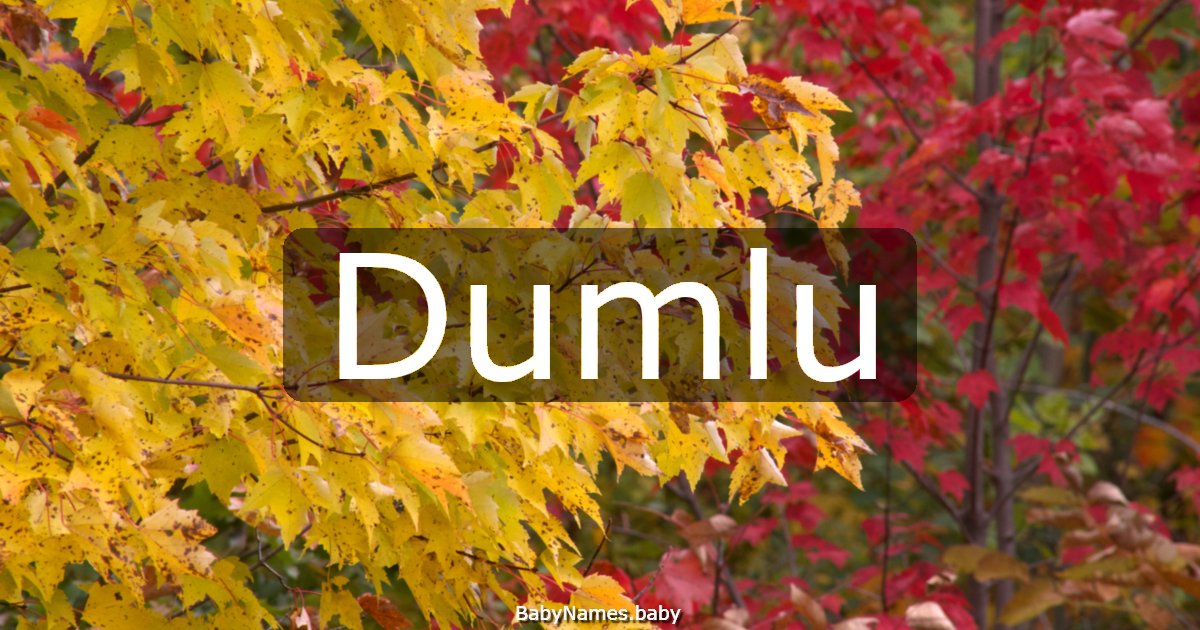 Dumlu