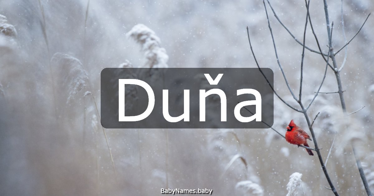 Duňa