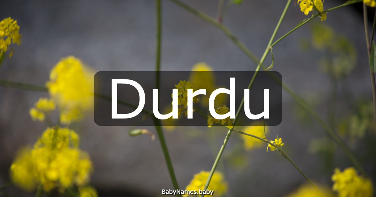 Durdu