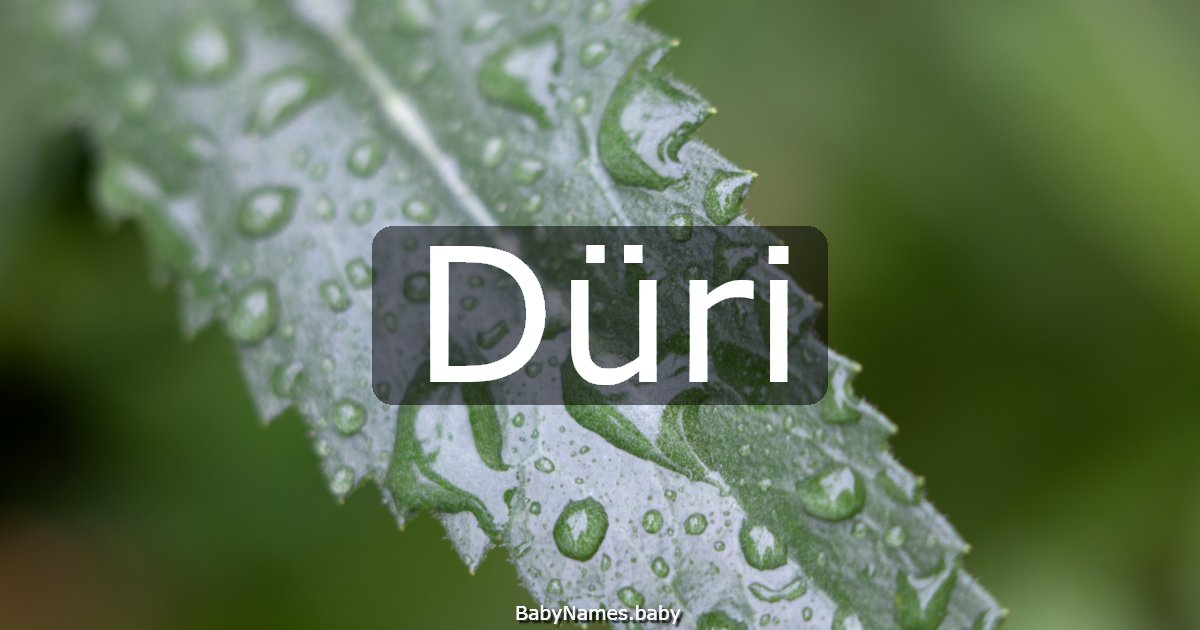 Düri