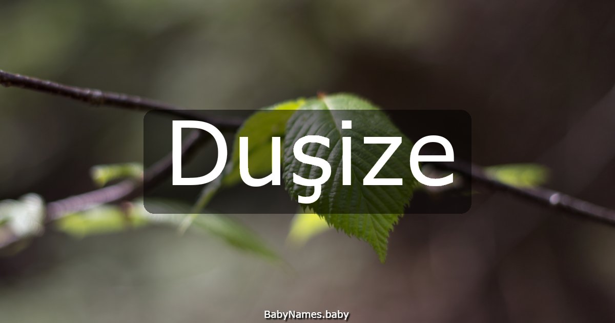 Duşize