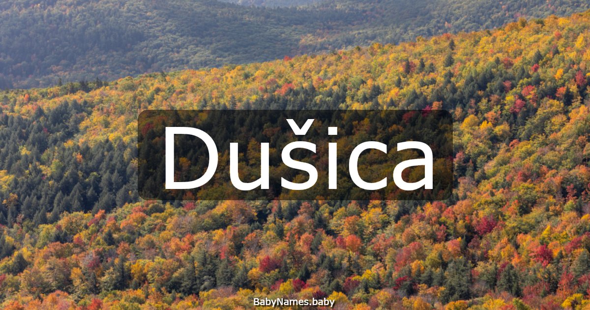 Dušica