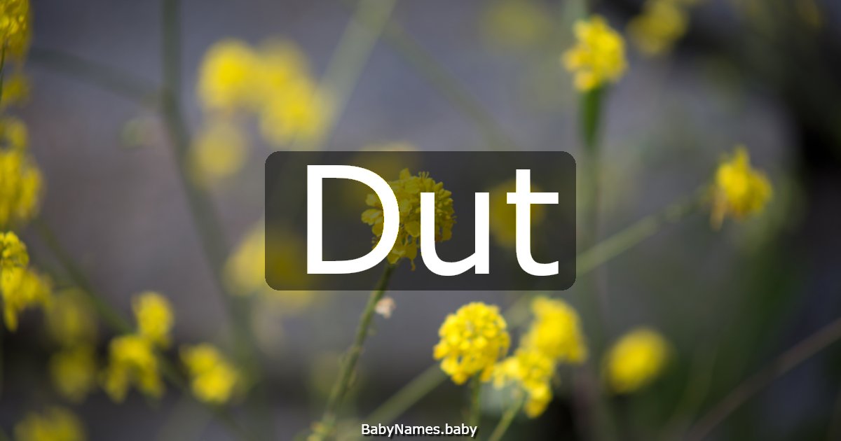 Dut