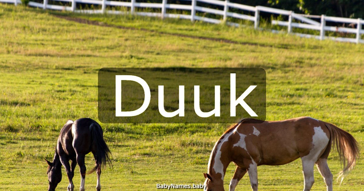 Duuk