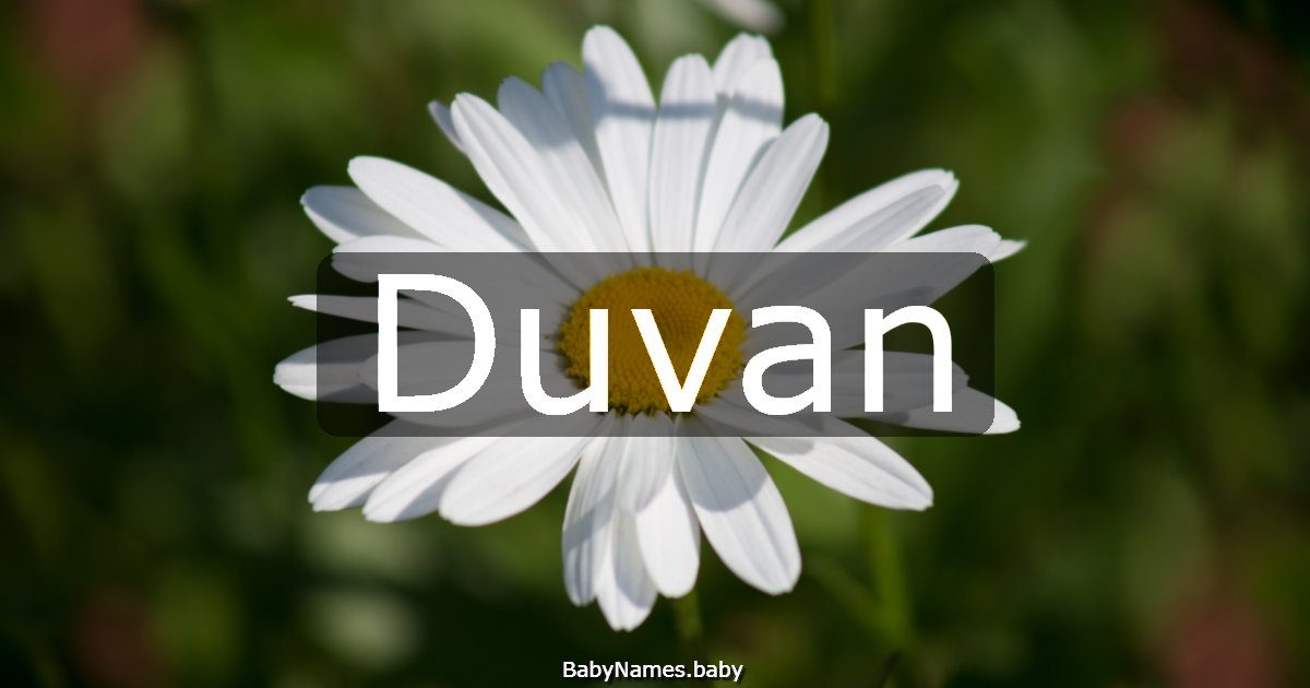 Duvan