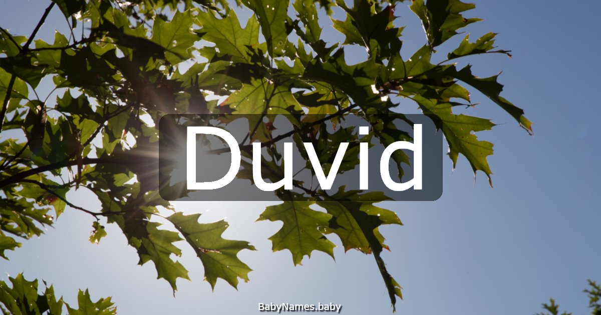 Duvid