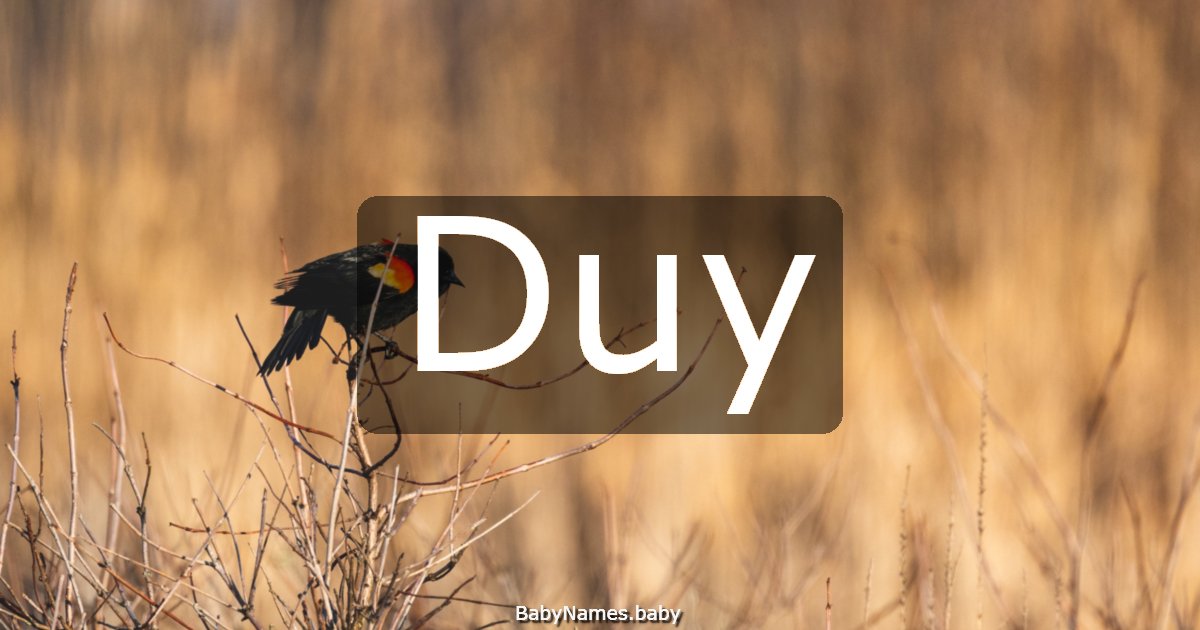 Duy