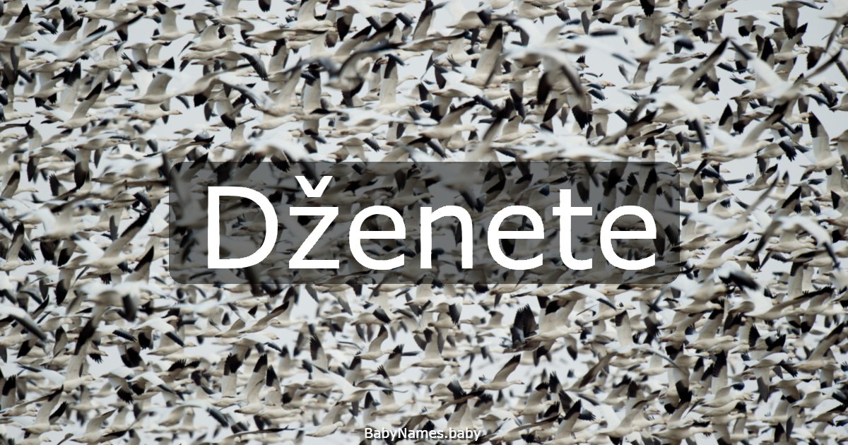 Dženete