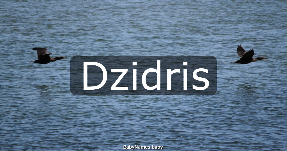 Dzidris