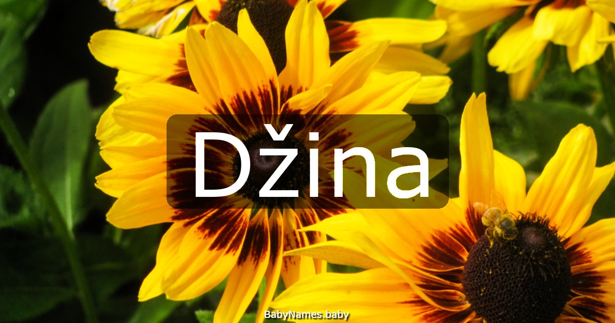 Džina