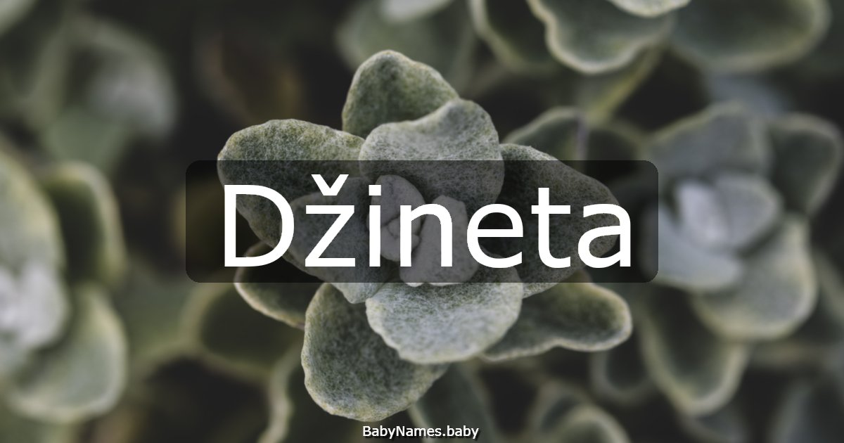 Džineta