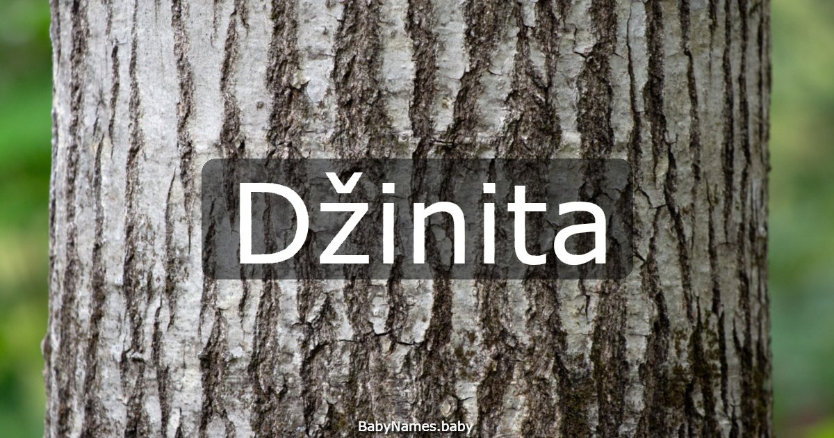 Džinita