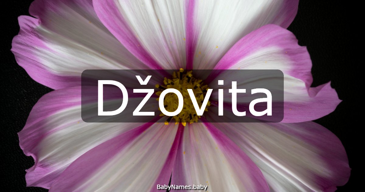 Džovita