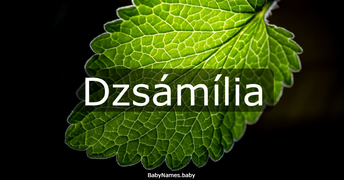 Dzsámília