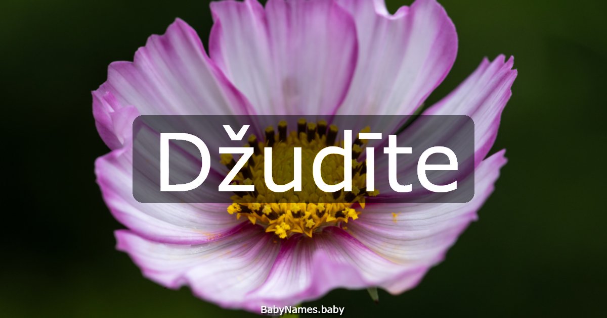 Džudīte